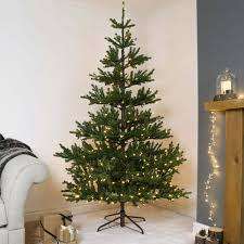 2.1 M Christmas Tree