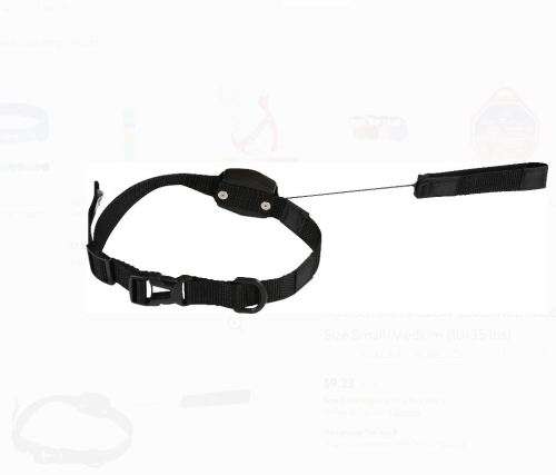 LUCKY LEASH