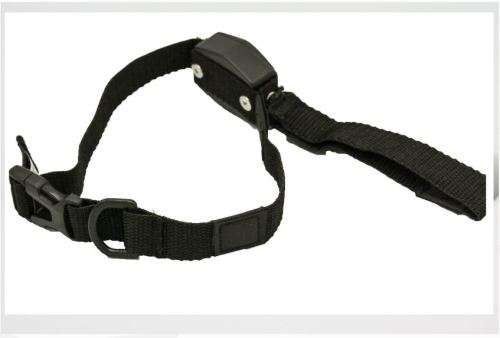 LUCKY LEASH