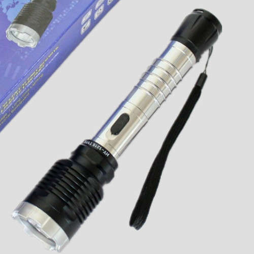 Taser gun with flashlight