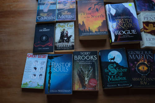Various books - fantasy and historical fiction (Most are new/unread)