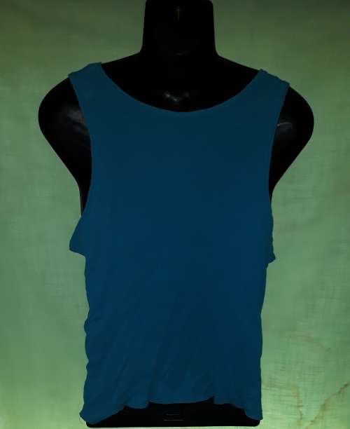 MENS BLUE T-SHIRT - MAKE: NO MAKE - SIZE: NO SIZE LOOKS M TO XL