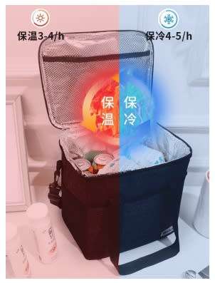 Insulated Leakproof Lunch Bag