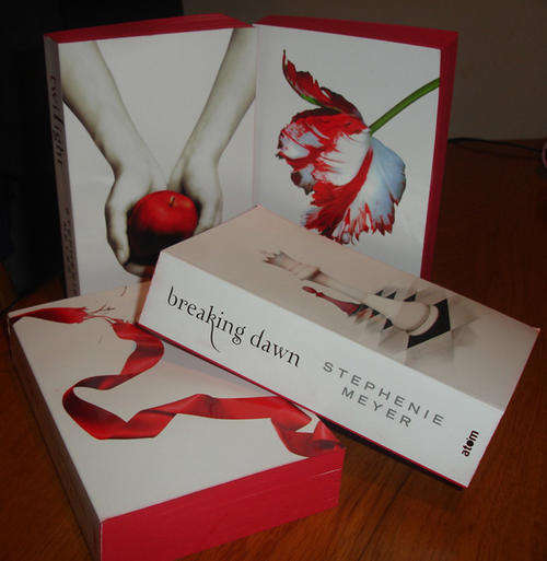 Twilight Saga: Limited Edition 4 books set