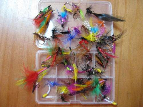 Flies + small plastic box