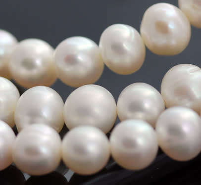 VERY LONG 83cm PEARL NECKLACE WITH ELEGANT FEATURE NATURAL RUBIES IN GOLD-HUED STERLING SILVER
