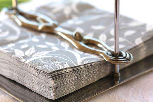 CaRRol BoYeS "Breaststroke" Serviette Holder!! Pewter and stainless steel.