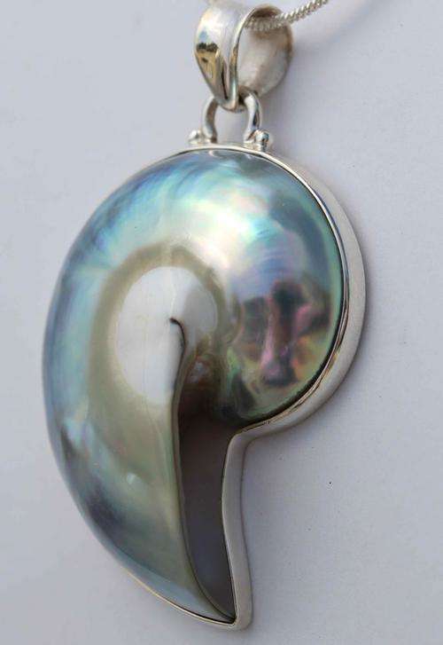 SOMETHING DIFFERENT!! BEAUTIFUL REAL NAUTILUS SHELL PENDANT SET IN SOLID STERLING SILVER! 11,3 gram