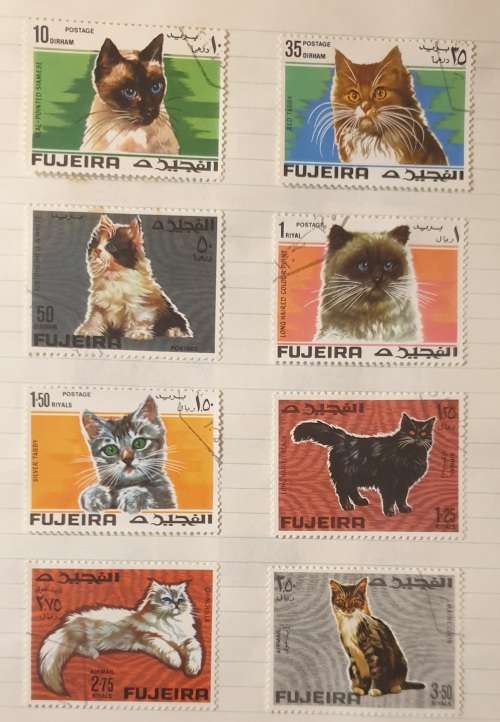CATS, CATS AND MORE CATS