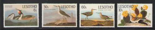 BIRDS OF LESOTHO UMM