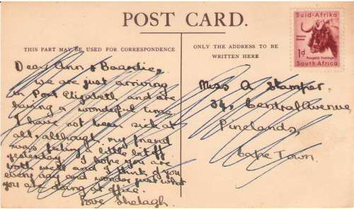 POSTCARD UNION CASTLE LINE CARNARVON CASTLE