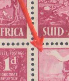 VOORTREKKER INAUGURATION 1½D UHB LISTED VARIETIES X3 SEE BELOW