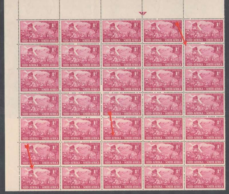 VOORTREKKER INAUGURATION 1½D UHB LISTED VARIETIES X3 SEE BELOW