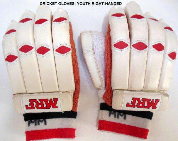 Cricket Gloves