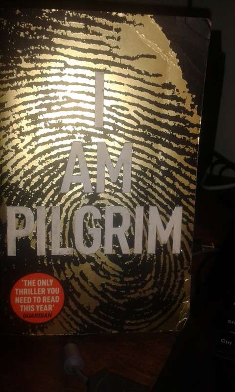 I am Pilgrim by Terry Hayes