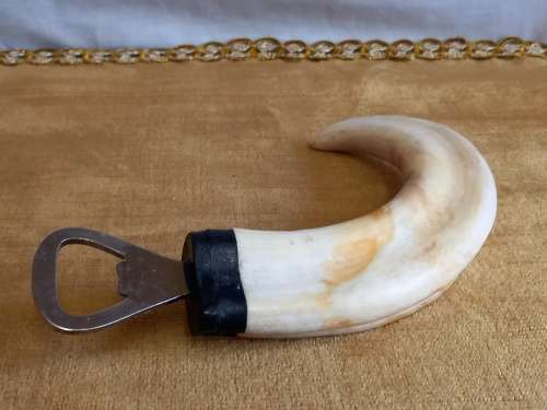 Warthog Tusk Bottle Opener