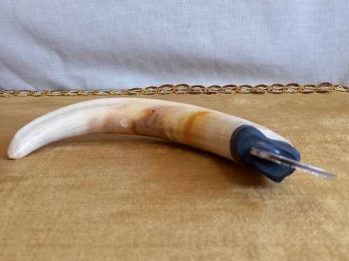 Warthog Tusk Bottle Opener