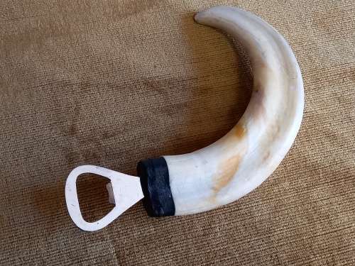 Warthog Tusk Bottle Opener