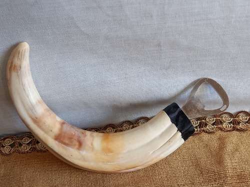 Warthog Tusk Bottle Opener
