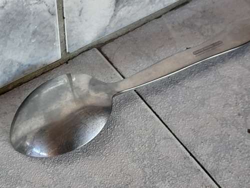 Carrol Boyes Functional Art  Serving Spoon