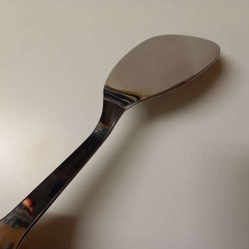 Carrol Boyes - Functional Art  Serving Lifter