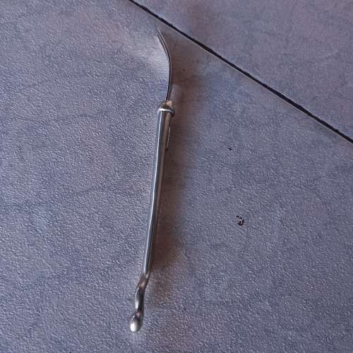 Carrol Boyes - Functional Art  Pickle Fork