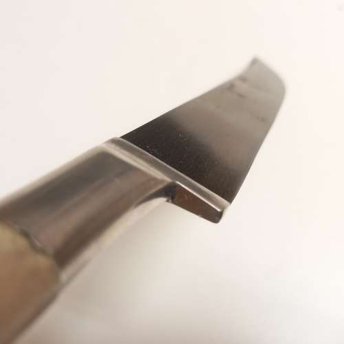 Bone Handle Knife