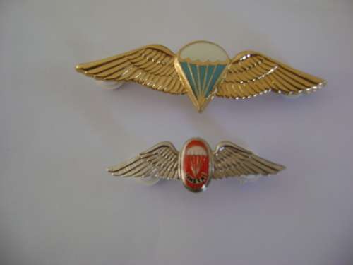 S.A. Parabat small free fall Instructor wing and a SA Parabat Dispatcher advanced wing.