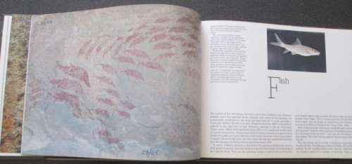 When Animals Were People by Bert Woodhouse