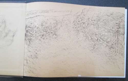 When Animals Were People by Bert Woodhouse