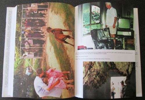 Cry Zimbabwe - Independence Twenty Years On by Peter Stiff