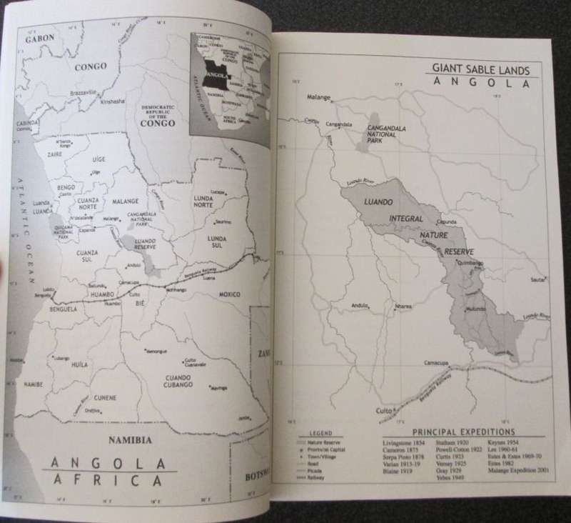 A Certain Curve of Horn: The 100 Year Quest for the Giant Sable Antelope of Angola, John F Walker