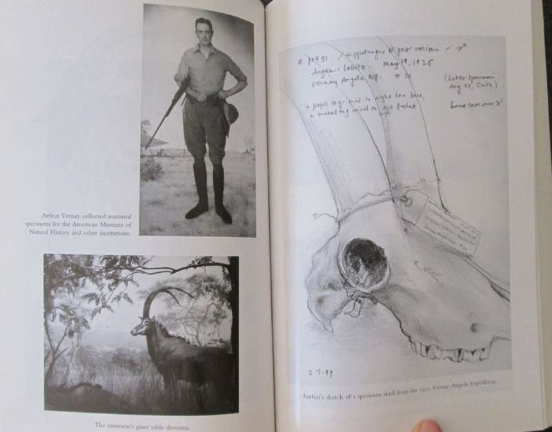 A Certain Curve of Horn: The 100 Year Quest for the Giant Sable Antelope of Angola, John F Walker