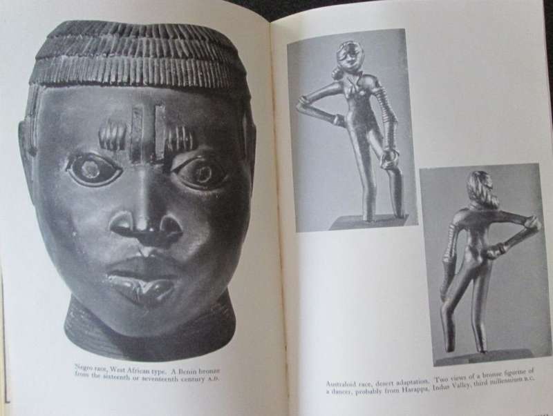 The History of Man by CARLETON S COON, 1957