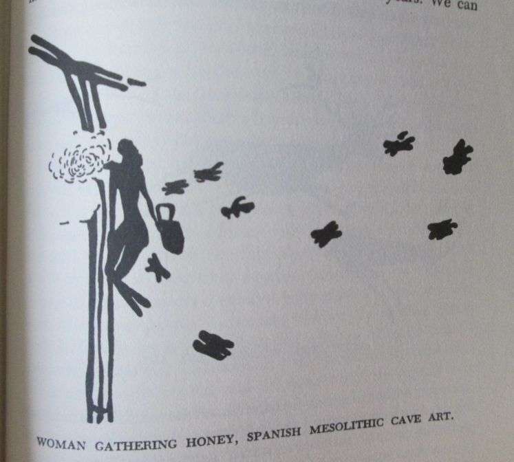 The History of Man by CARLETON S COON, 1957