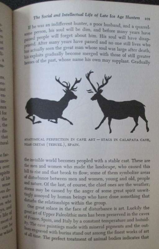 The History of Man by CARLETON S COON, 1957