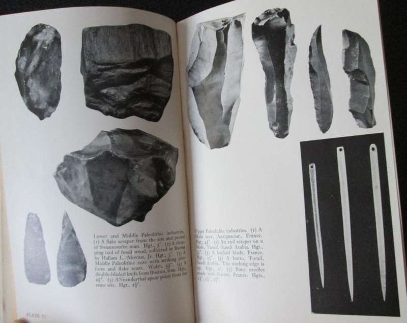 The History of Man by CARLETON S COON, 1957