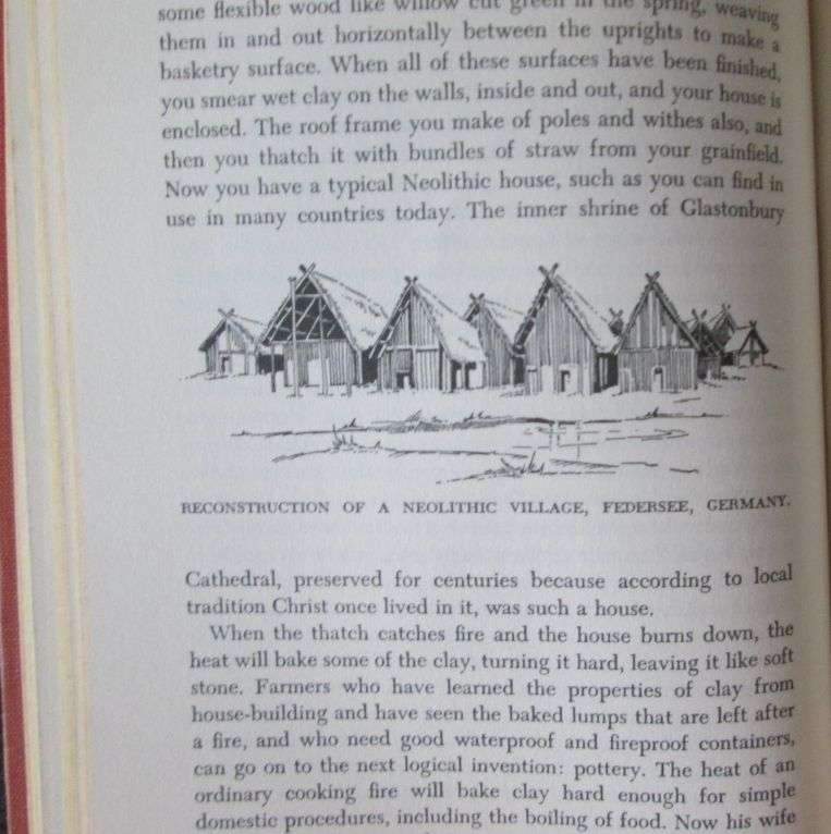 The History of Man by CARLETON S COON, 1957