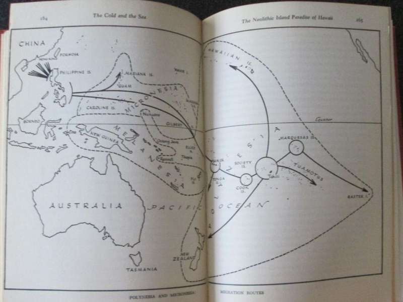 The History of Man by CARLETON S COON, 1957