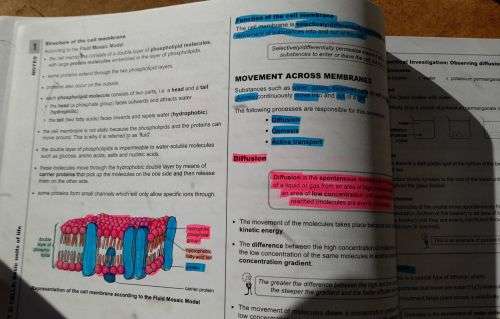 GR 10 CAPS LIFE SCIENCES `3 in 1` Helena Fouche Liesl Sterrenberg, Answer Series