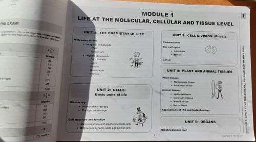GR 10 CAPS LIFE SCIENCES `3 in 1` Helena Fouche Liesl Sterrenberg, Answer Series