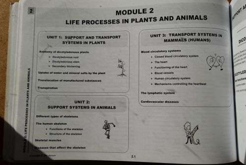 GR 10 CAPS LIFE SCIENCES `3 in 1` Helena Fouche Liesl Sterrenberg, Answer Series
