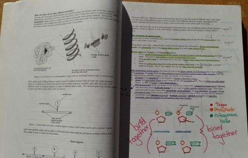 Life Sciences GRADE 12: GUIDELINES Peter Ayerst + DEFINITIVE EXAM PREP. KIT X-Kit