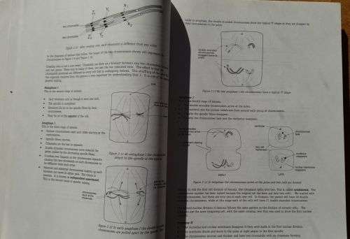 Life Sciences GRADE 12: GUIDELINES Peter Ayerst + DEFINITIVE EXAM PREP. KIT X-Kit