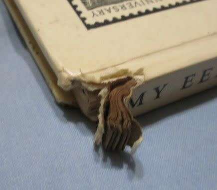 My eerste posseëlboek