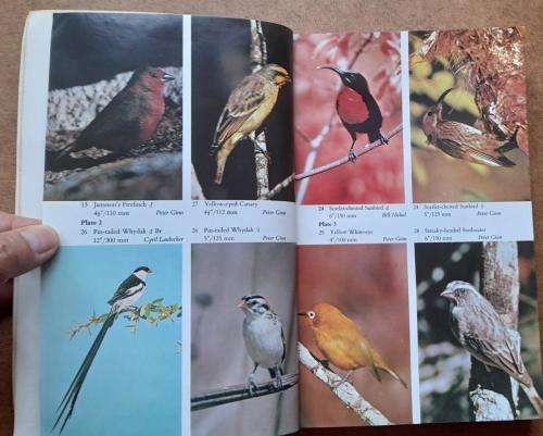 Birds of the Highveld, Bundu Series