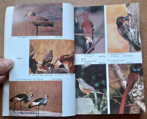 Birds of the Highveld, Bundu Series