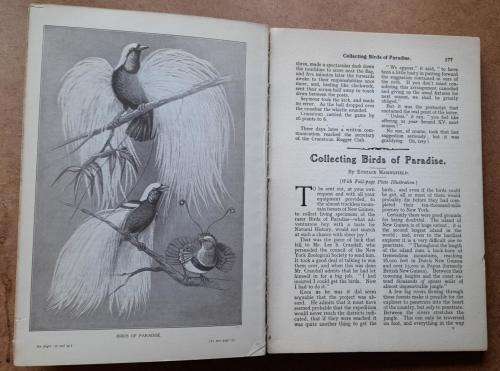 Young England, Fifty-Third Annual Volume, Pilgrim Press, 1934