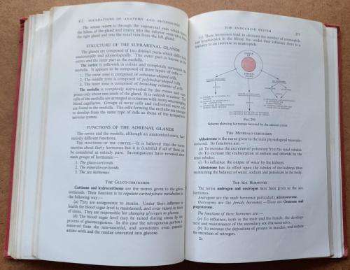 Foundations of Anatomy and Physiology, Ross & Wilson, 1967