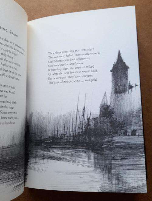 The Voyage of the Arctic Tern by Hugh Montgomery (Author), Nick Poullis (Illustrator), 1st Edition